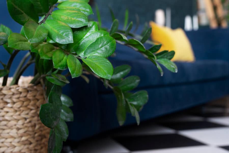 cuales son los rincones mas dificiles de decorar